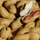 GOURMET Honey Creamed with Peanuts and Sea Salt 260g