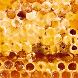 KING Hot Honey Wildflower 280g