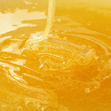 LOVE THE BEES Pure Acacia Honey (Squeezy) 430g