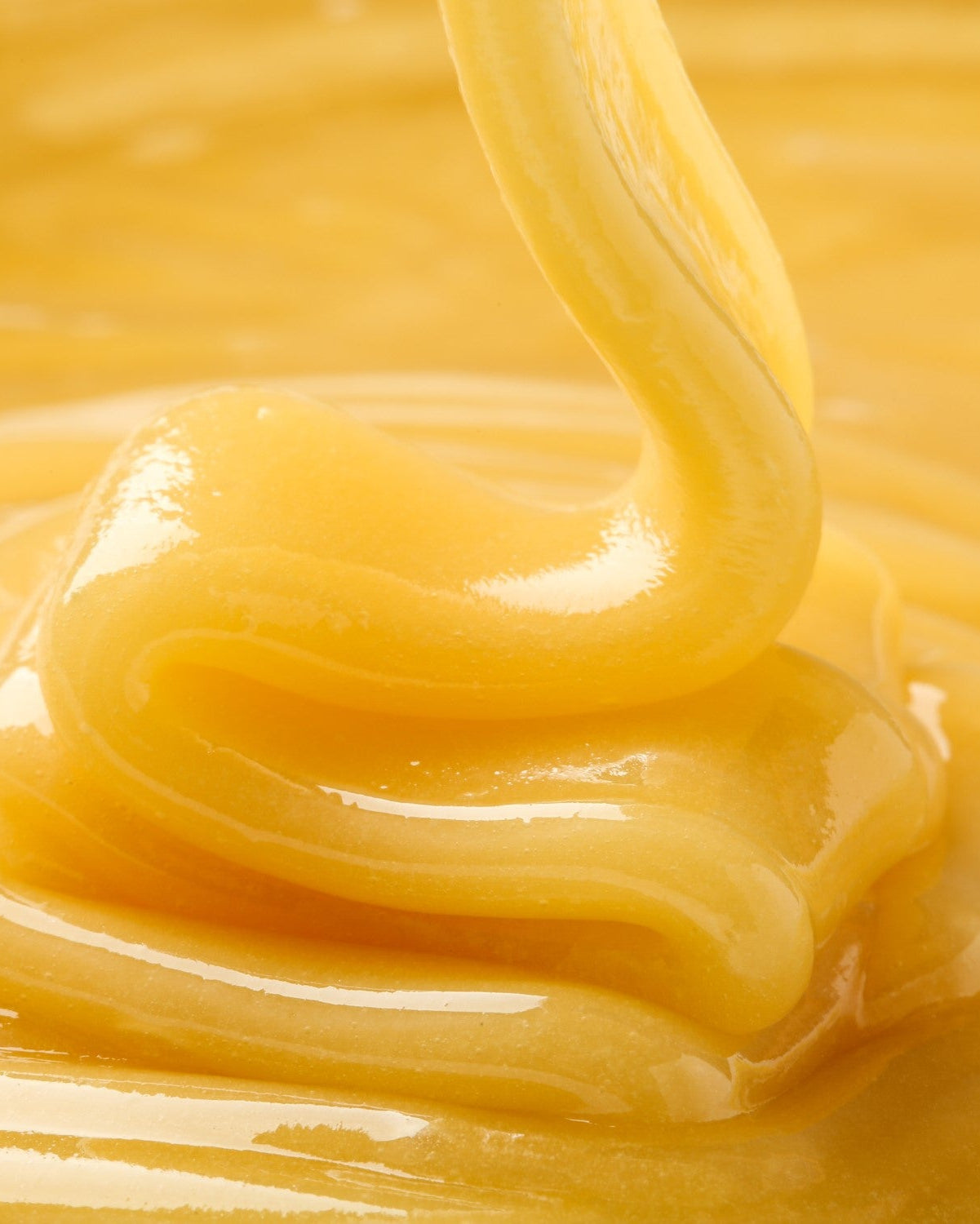 Honeyland Sunflower Honey